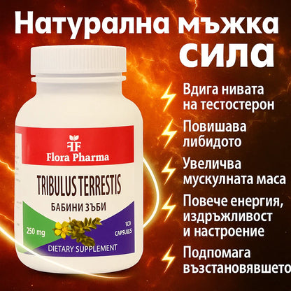 Τριβόλι – συμπλήρωμα διατροφής 100 κάψουλες, 250 mg - για δύναμη, ενέργεια και λίμπιντο