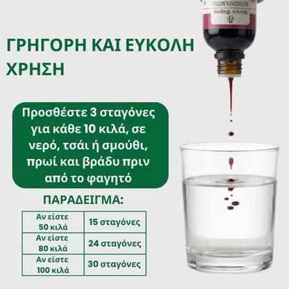 Αντιπαρασιτικό πρόγραμμα - βάμμα 100 ml - σκοτώνει παράσιτα, βακτήρια και μύκητες