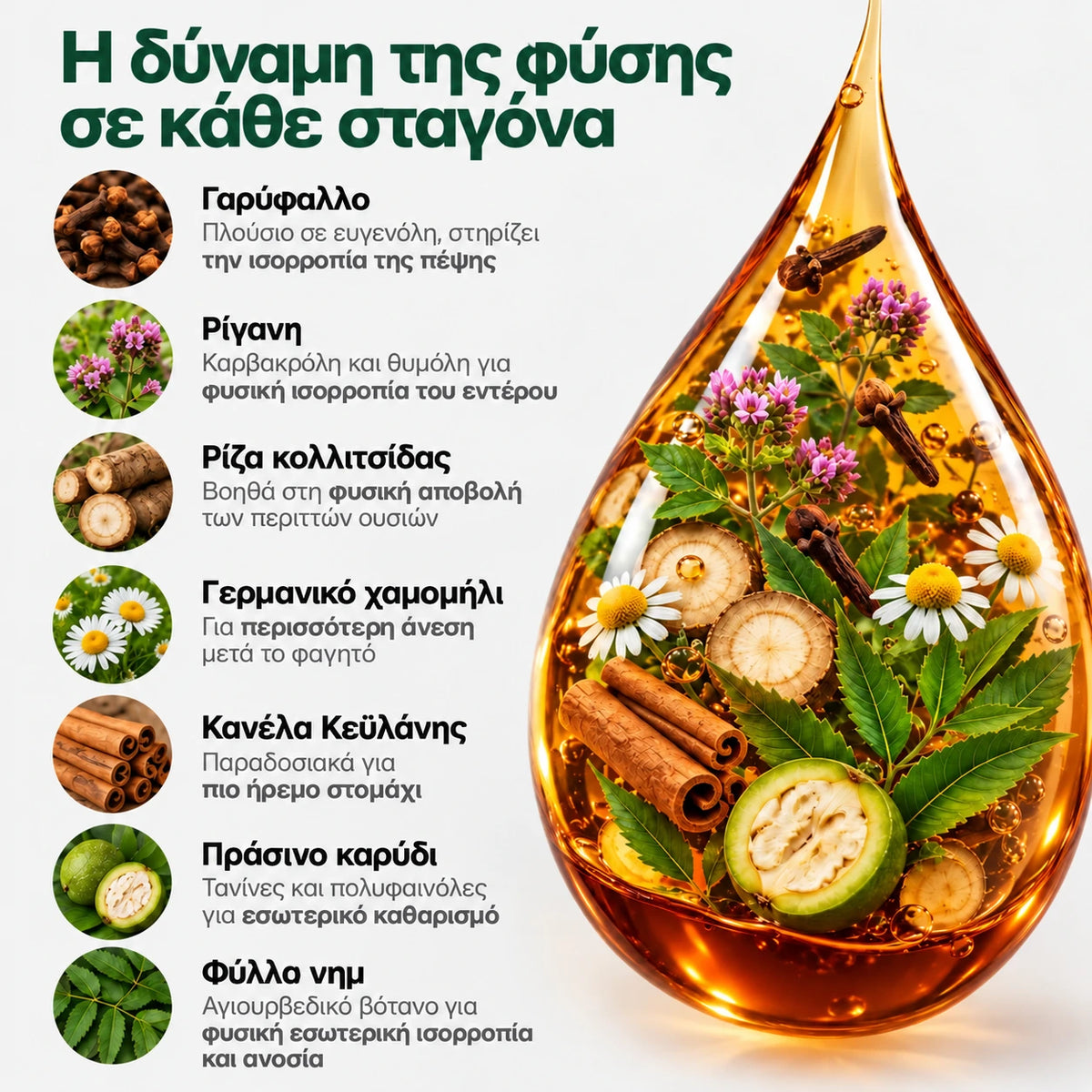 Αντιπαρασιτικό πρόγραμμα - βάμμα 100 ml - σκοτώνει παράσιτα, βακτήρια και μύκητες