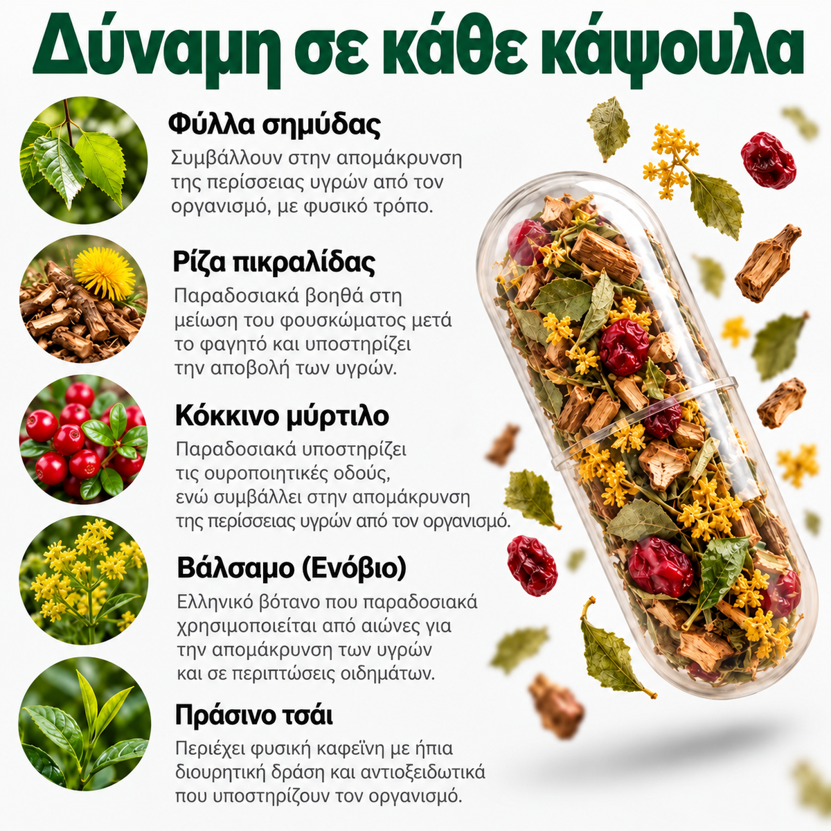 WATER RENNN – συμπλήρωμα διατροφής 100 κάψουλες, 500 mg - για πρήξιμο, κατακράτηση υγρών και για αποτοξίνωση